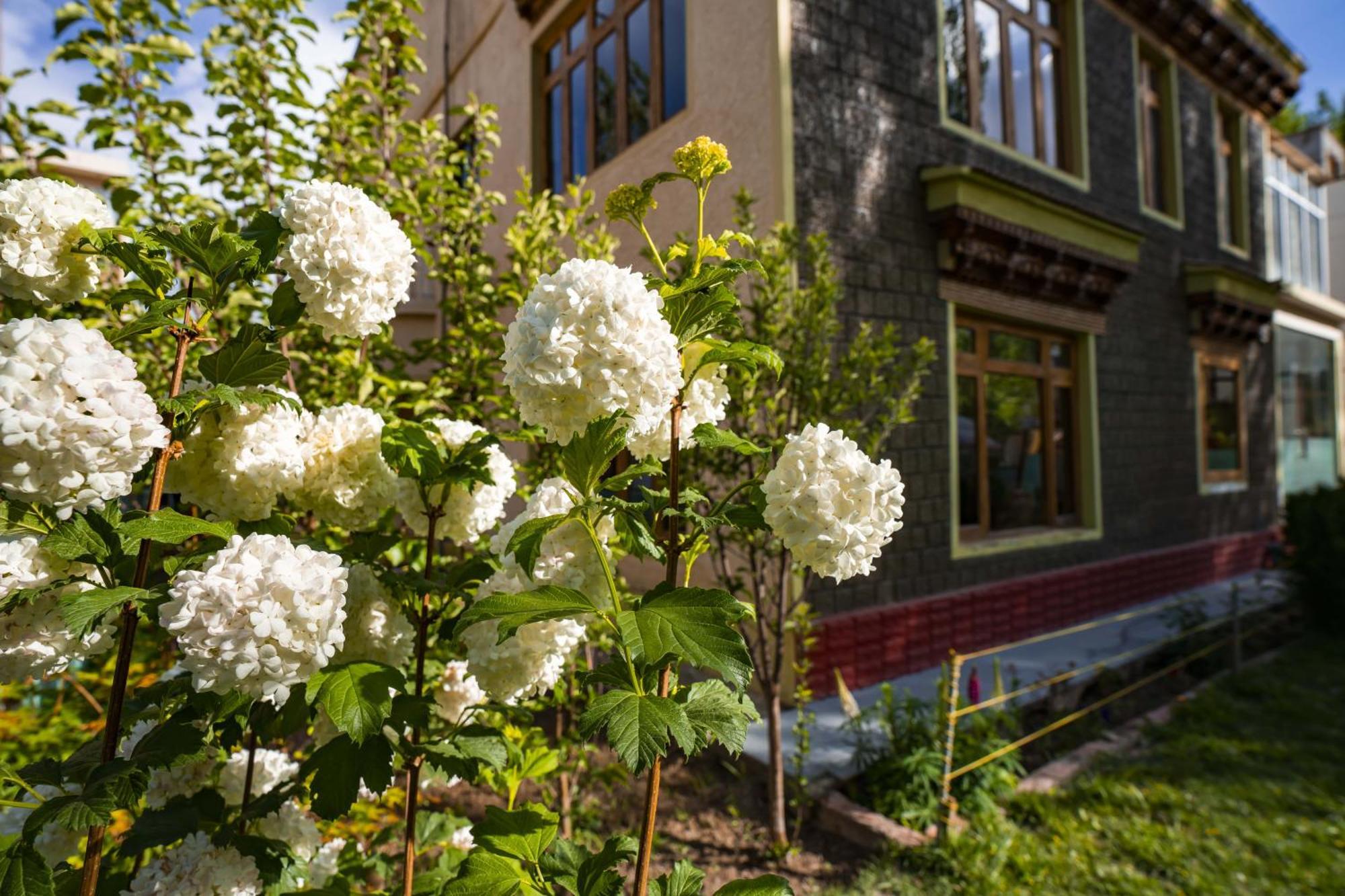 Rainbow Holiday Home Лех Экстерьер фото